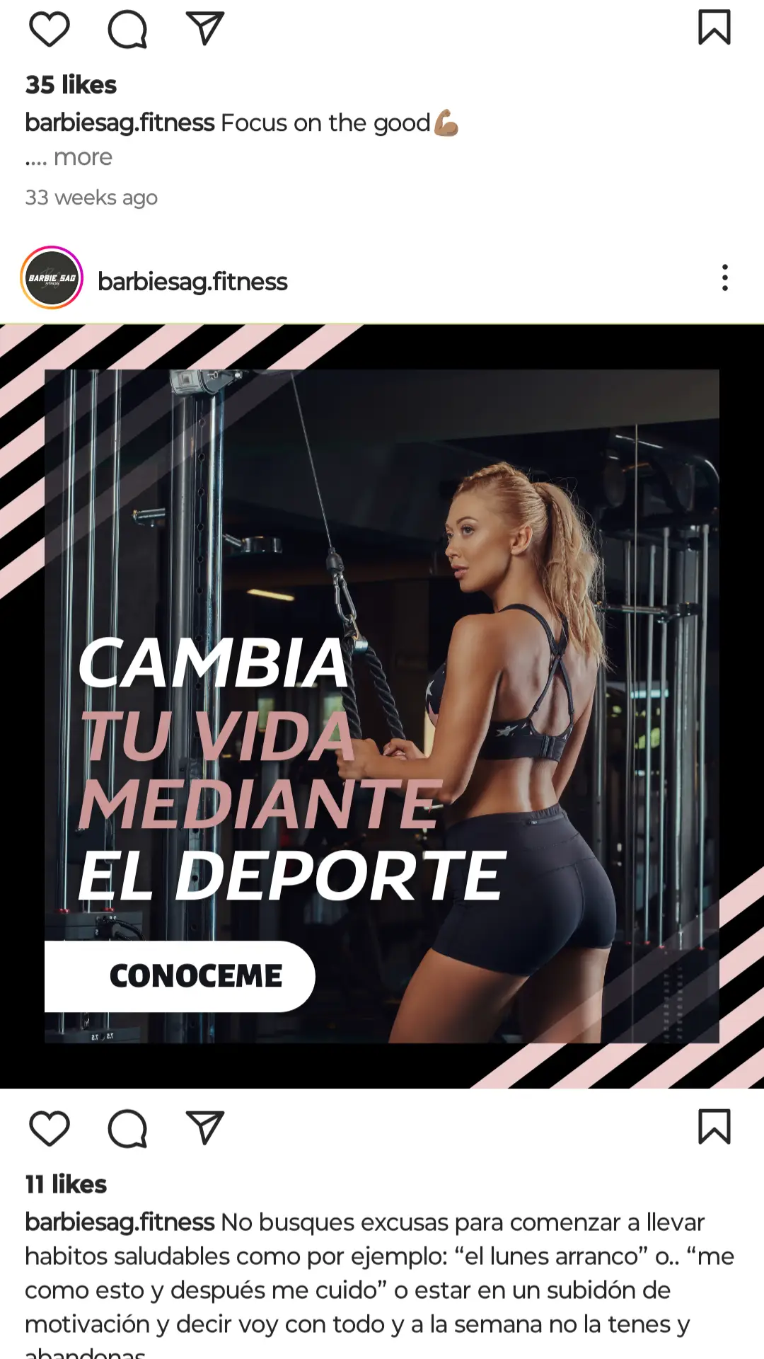 Imagen descriptiva del proyecto Barbie Sag Fitness