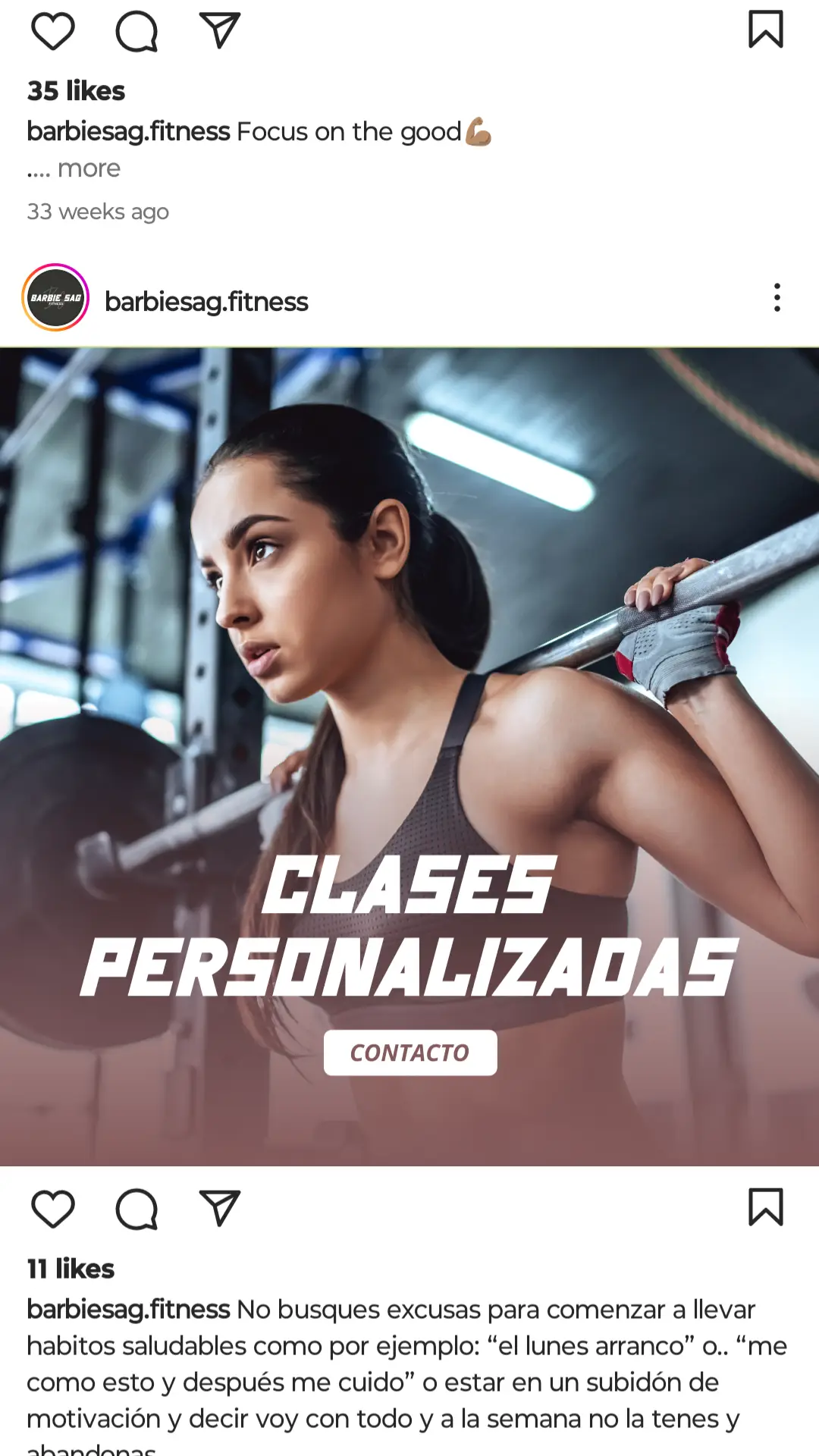 Imagen descriptiva del proyecto Barbie Sag Fitness