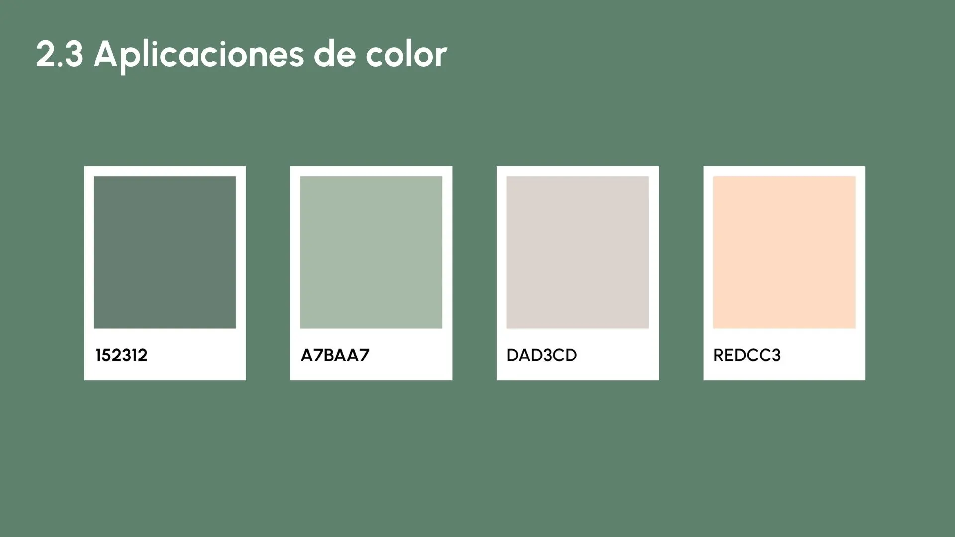 Foto descriptiva del proyecto mostrado