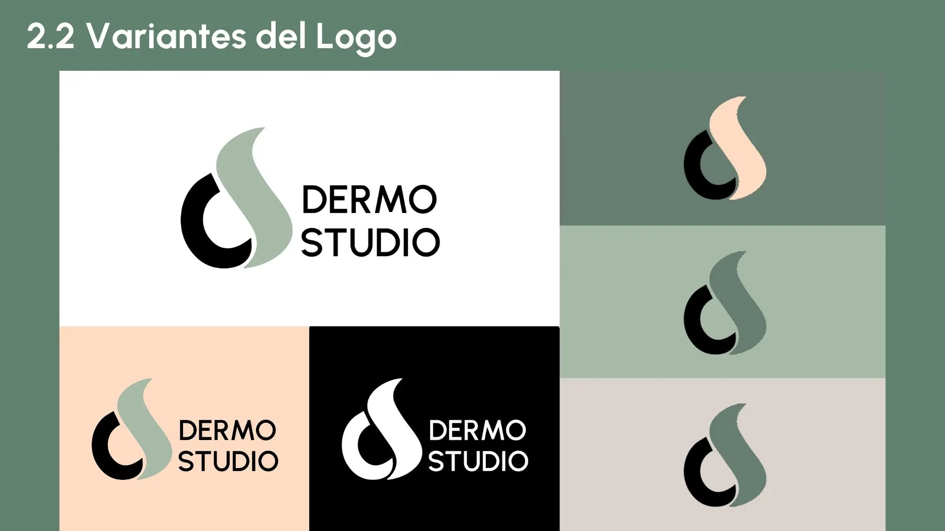 Foto descriptiva del proyecto mostrado