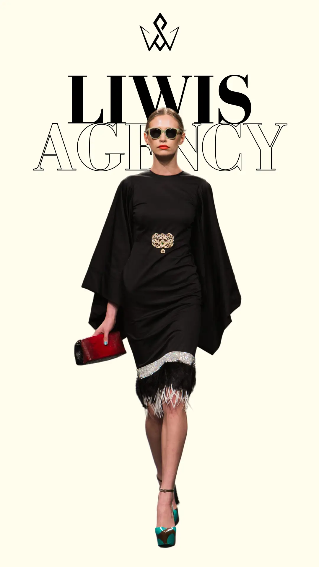 Imagen descriptiva del proyecto Liwis Agency