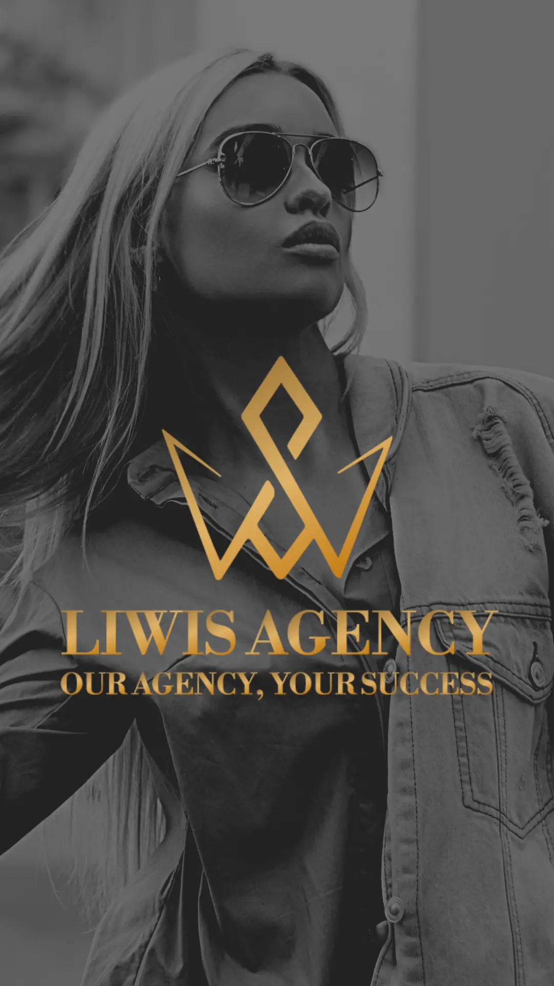 Imagen descriptiva del proyecto Liwis Agency