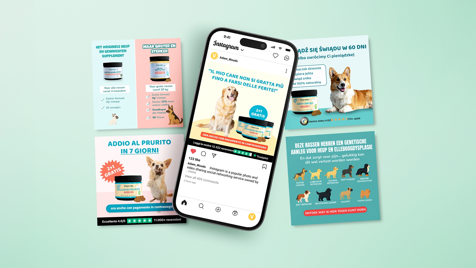 Imagen descriptiva del proyecto Dog Suppy