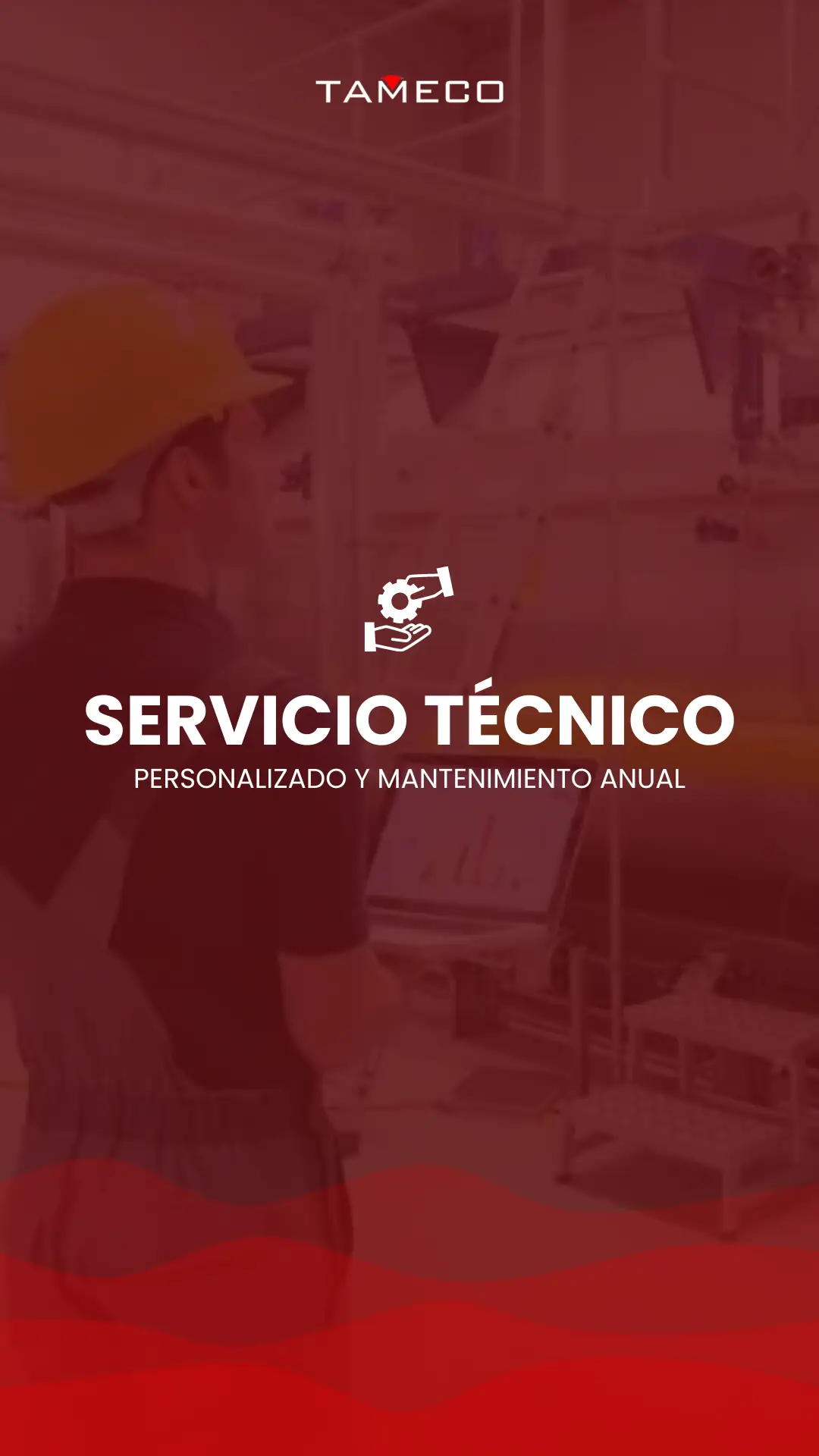 Imagen descriptiva del proyecto Tameco Srl