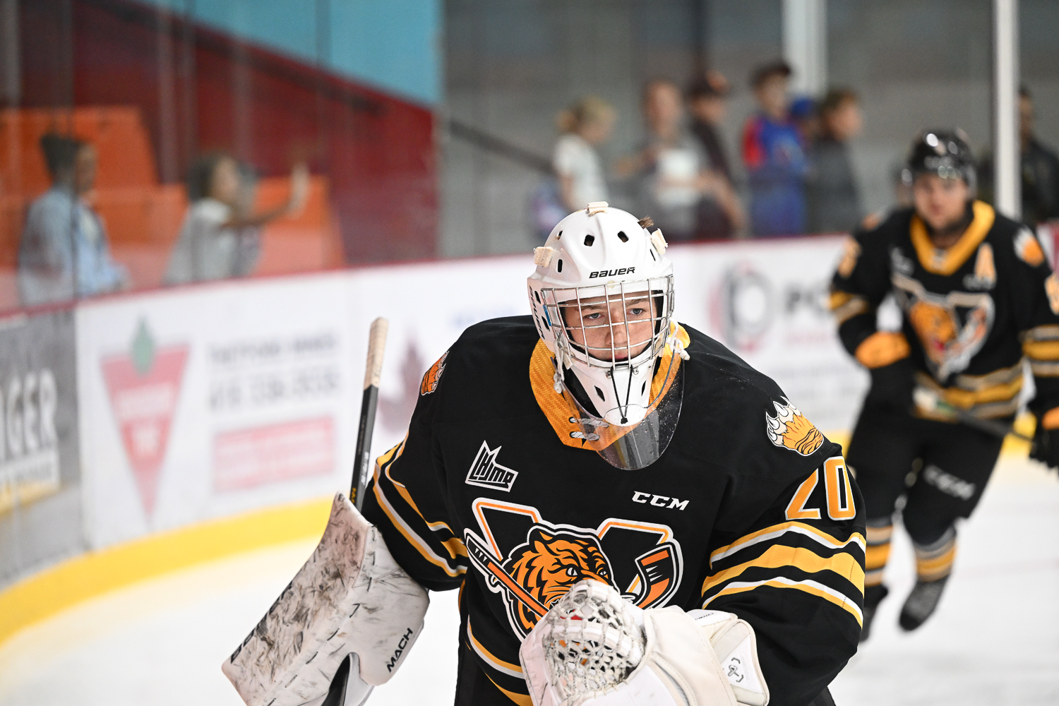 Penguins select ten players on day two
