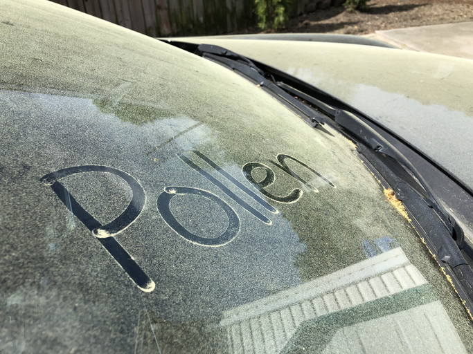 How Asheville’s Spring Pollen Damages Your Car Paint (And How to Protect It)