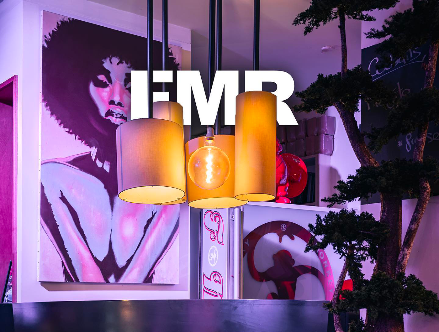 Funky Monkey Room