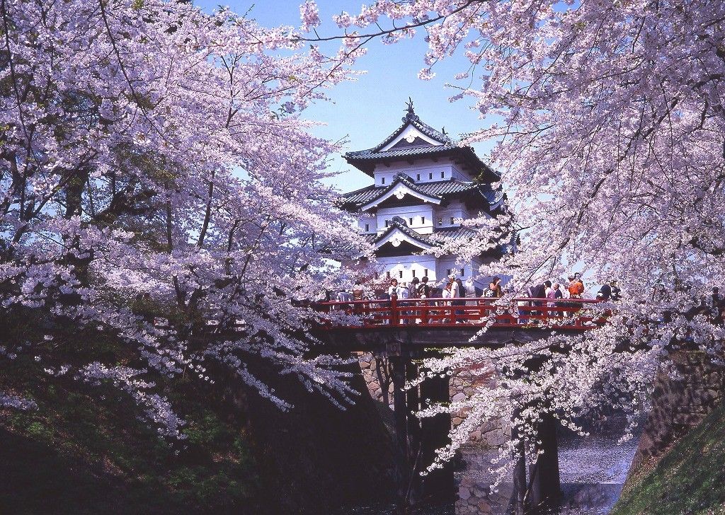Blog image