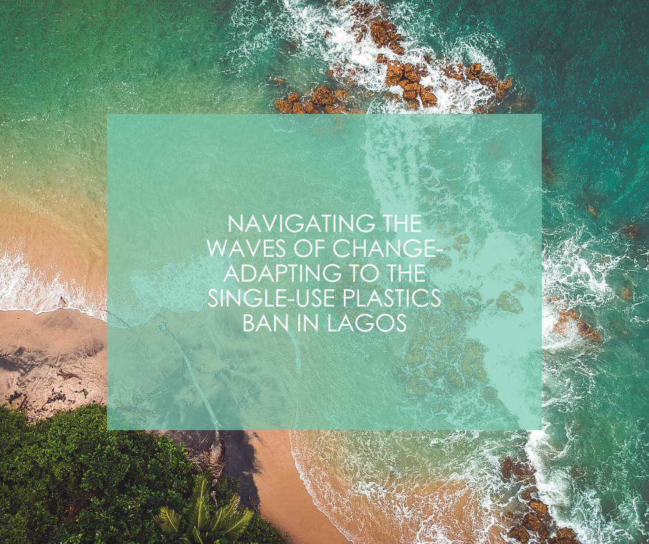 Navigating the Waves of Change- Adapting to the Single-Use Plastics Ban in Lagos