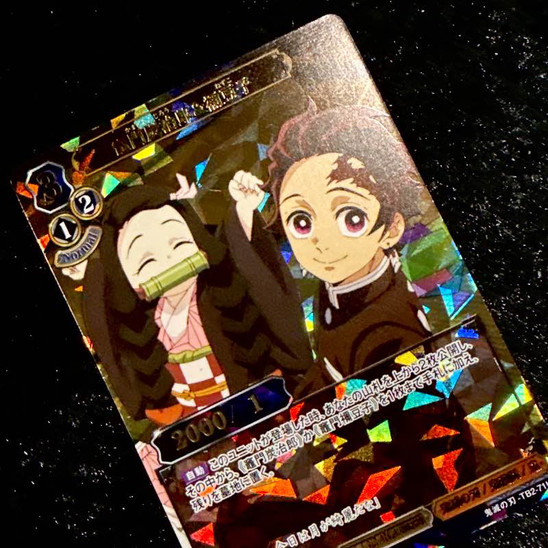 Kamado Tanjiro Nezuko TB2-71UR Demon Slayer