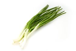 зелен лук