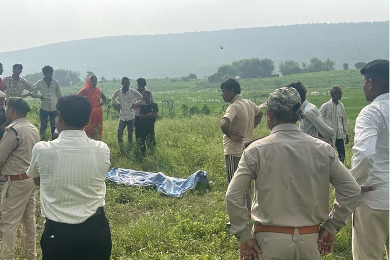 Elephant Activity in Maihar Raises Human-Wildlife Conflict Concerns