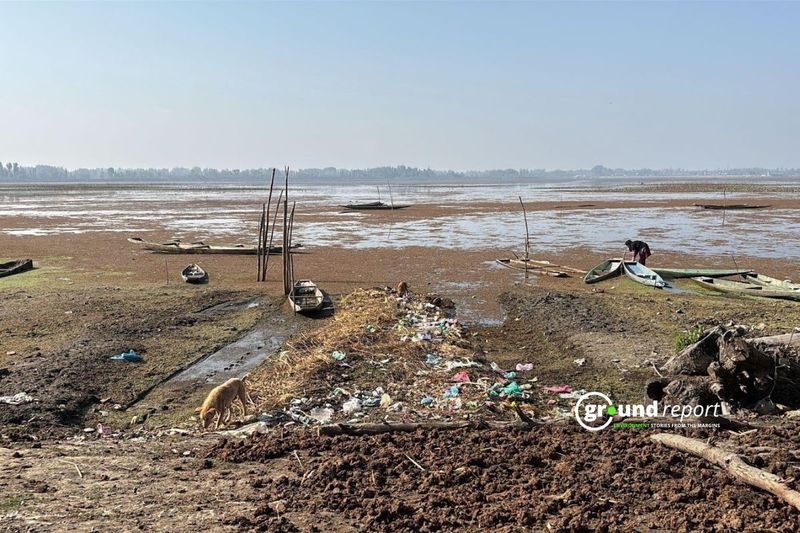 Why India Ranked Low in Environmental Performance Index, While High in Others