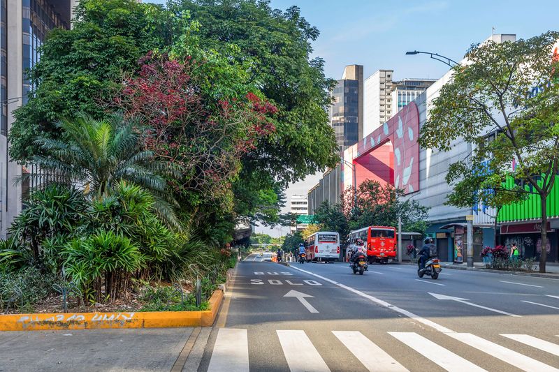 Medellín went green to stay cool – heat rose faster