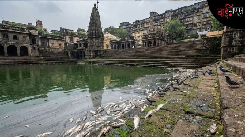 पिंडदान केल्यामुळे ऐतिहासिक बाणगंगा तलावात हजारो मृत माशांचा खच...