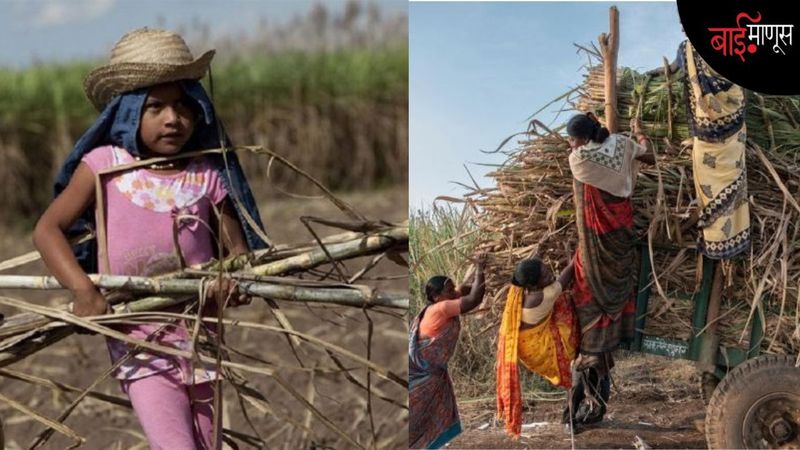 दप्तर मागे, कोयता पुढे… दुष्काळाची किंमत मुलं का मोजतायत?