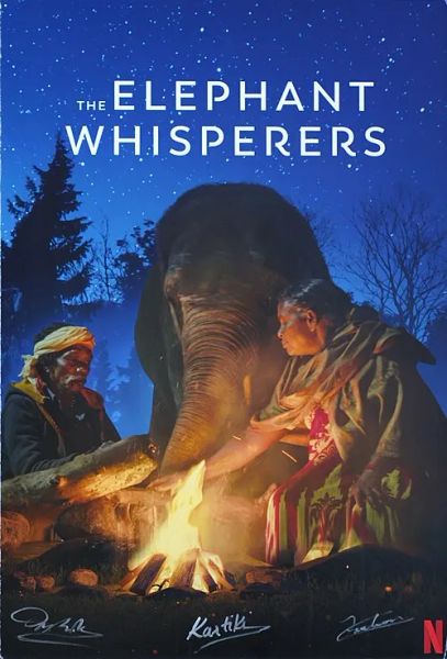 Jungle Stories: Indian Wildlife on Screen — Regional and Independent Cinema