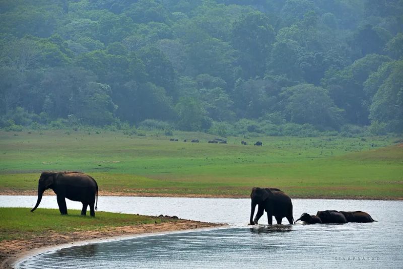 Aaranyak Has Been Teaching Elephant Ecology in Three Villages Near Panidehing Since 2022