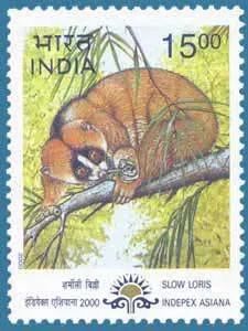 India Wildlife Dispatch: July 2026