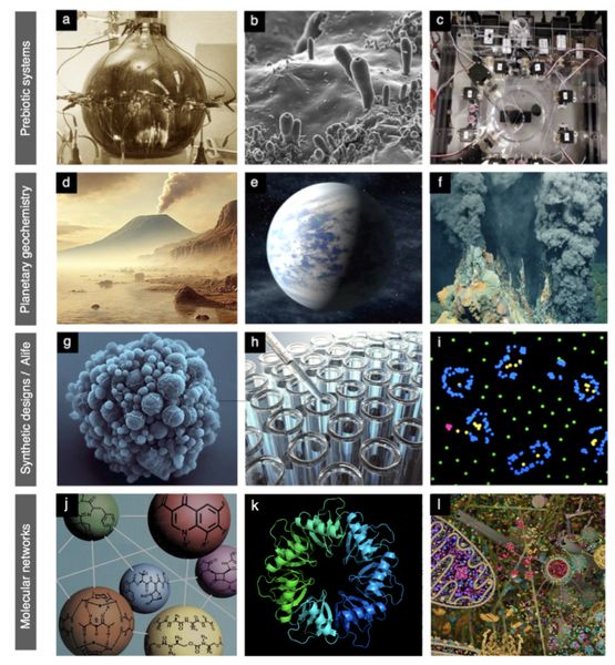 What is life, really? A case for interdisciplinary science