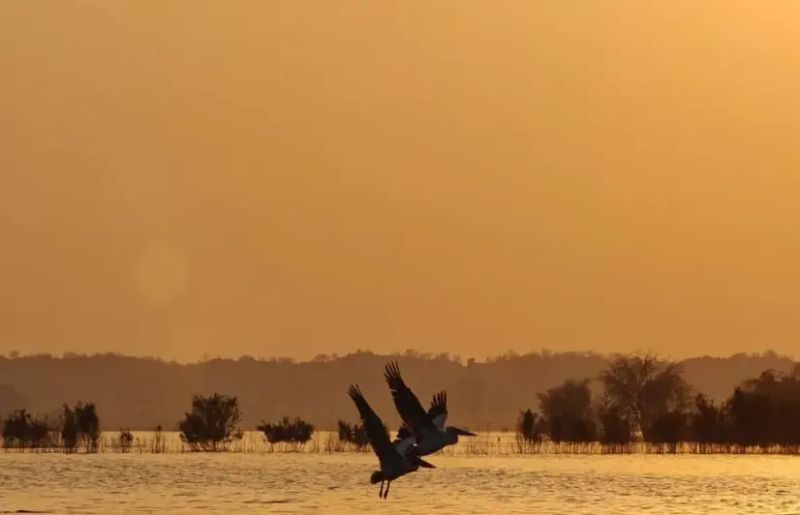 In Rajasthan’s Badopal, a wetland created by floods divides a village