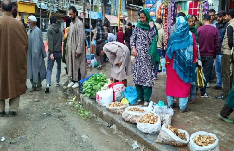 In Kashmir’s forests, wild mushrooms bring seasonal cash for school expenses