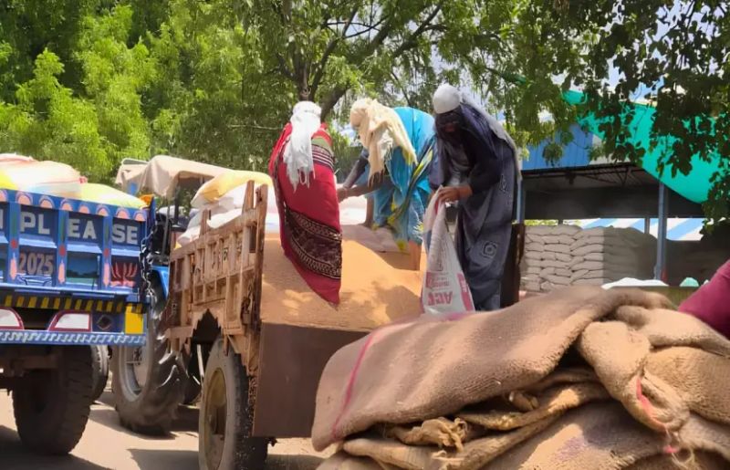 In Bundelkhand, wheat farmers can’t afford to wait for MSP