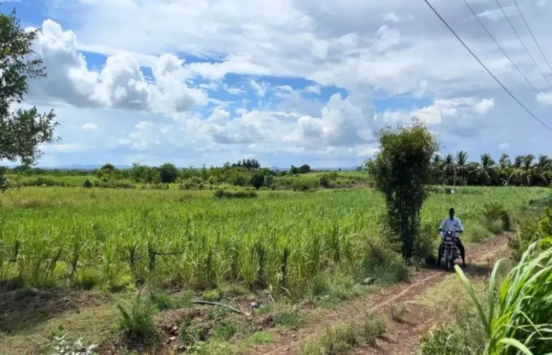 Shaktipith Expressway threatens to fragment farms in Sangli villages