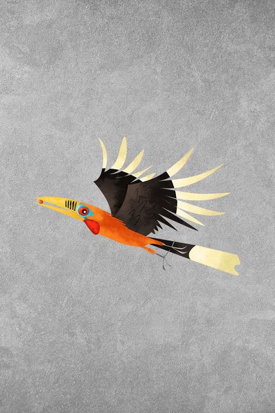 Rufous-necked Hornbill: Facts, Habitat, Breeding