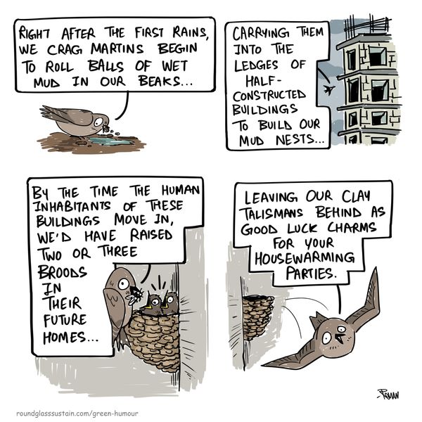 Housewarming Gifts from the Crag Martins