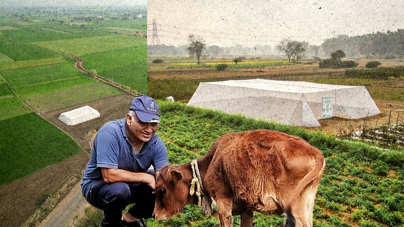 Can Cheap Greenhouses Enable Climate Adaptation for India's Small Farmers?