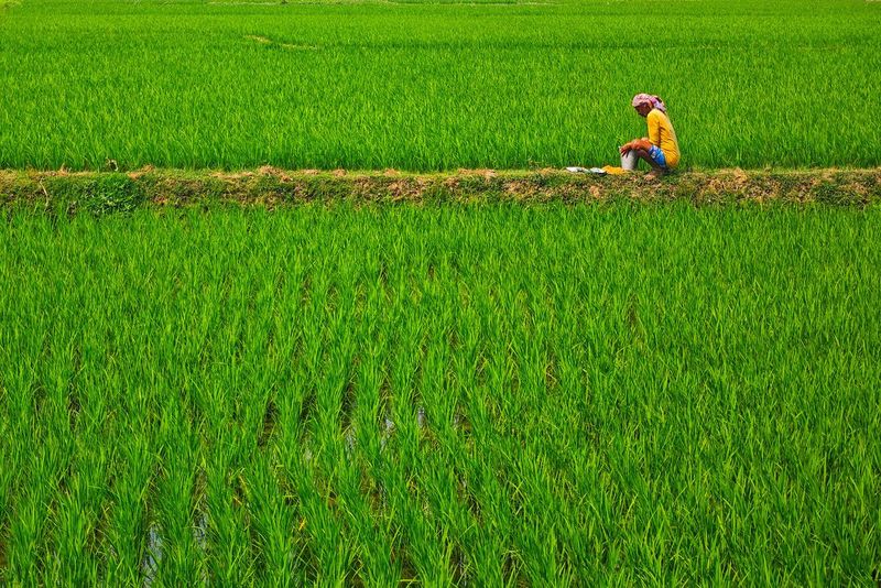 Turning Methane Into Food, Feed and Farm Inputs