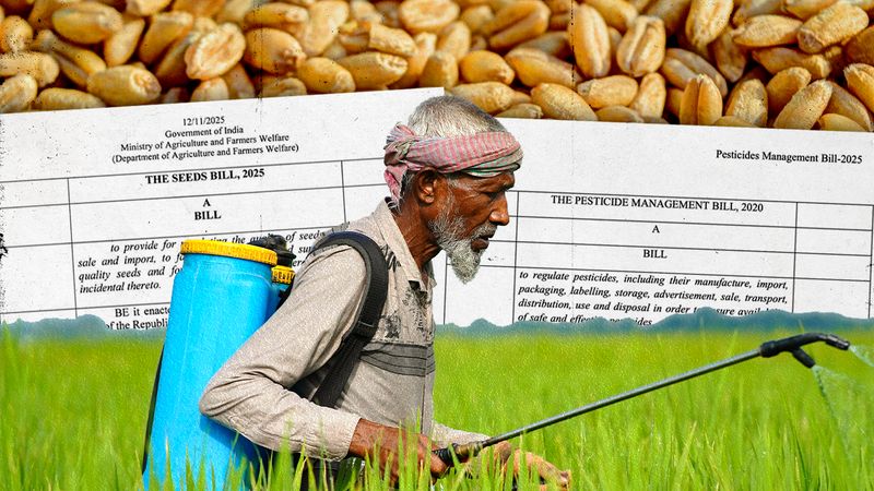 The ‘Flailing State’ and India’s New Seeds and Pesticides Rules