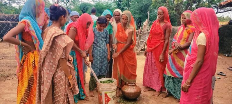 Soil, Sheep and Self-Reliance: The Story of Kalawati Ninama