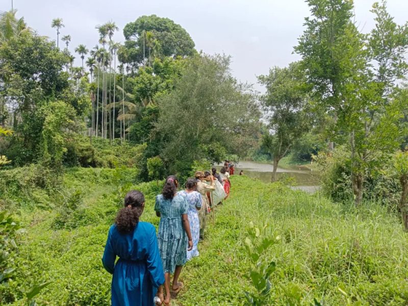 Seeds and Herbs: Hearing Through the Ears of the Forest – Part 1