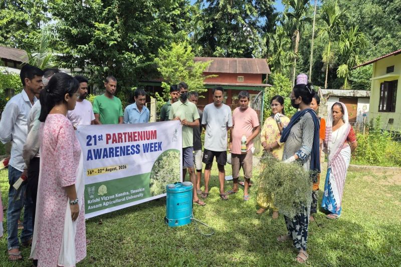 Assam: Tinsukia KVK organises awareness drive on invasive parthenium weed