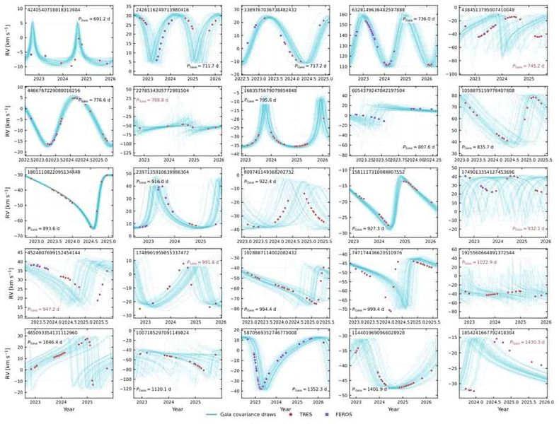 Spectroscopic follow-up of compact object binary candidates from Gaia DR3: White dwarfs, neutron stars, black holes, and the parallax zeropoint