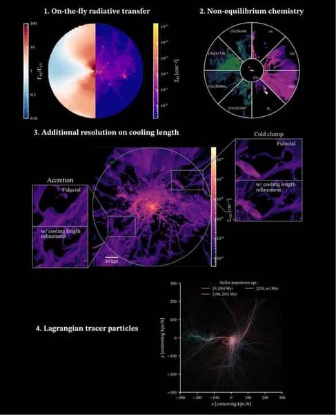 MEGATRON: the impact of non-equilibrium effects and local radiation fields on the circumgalactic medium at cosmic noon