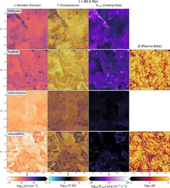 Multiphase gas in Circumgalactic cloud complexes: Insights from kiloparsec-scale Magnetohydrodynamic Turbulence Simulations