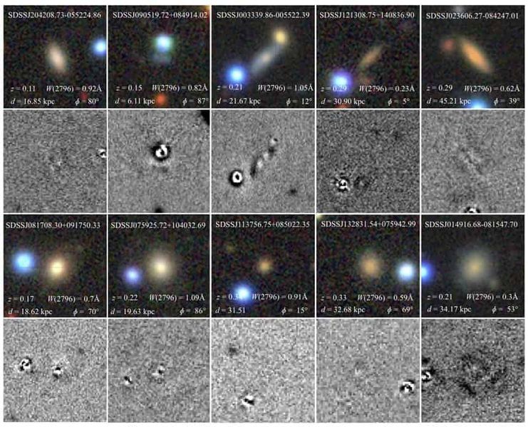 On the connection between galaxy orientation and halo absorption properties