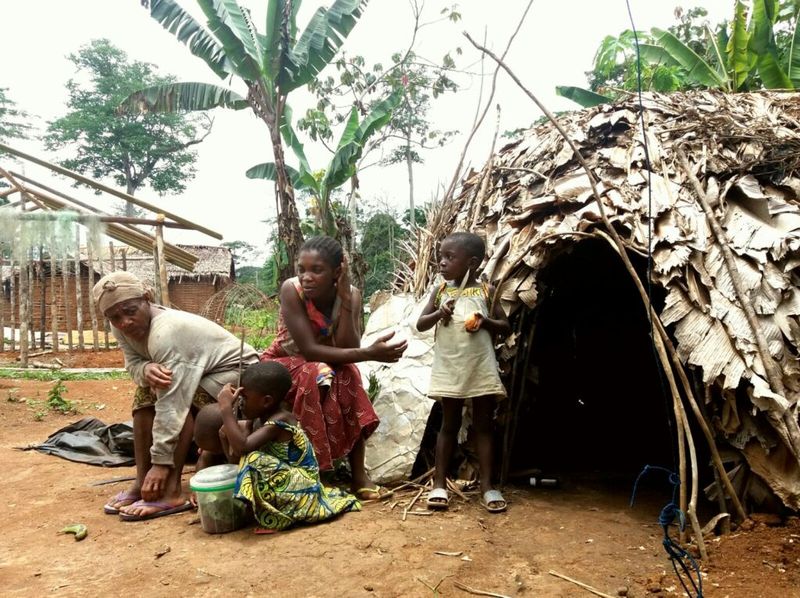 Forests Without Fences: When Neighbours Share the Hunt