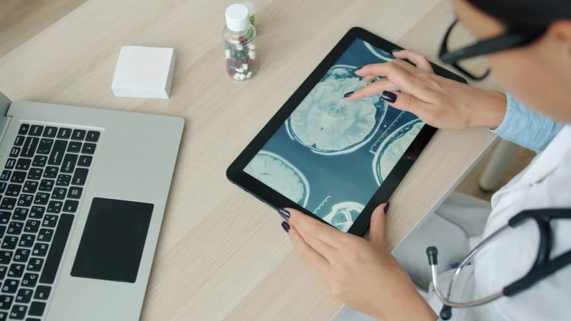 Puberty, Pregnancy and Menopause Reshape the Female Brain Differently, Study Finds