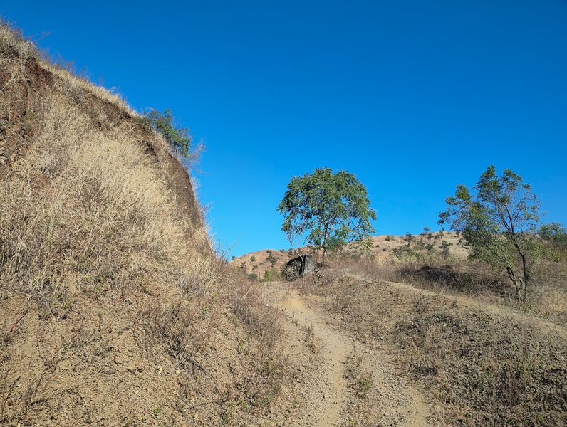 A drought-prone Vidarbha village taps forest, arrests migration