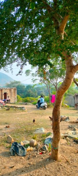 Life after death: The long road to insurance claims in Udaipur’s migrant homes