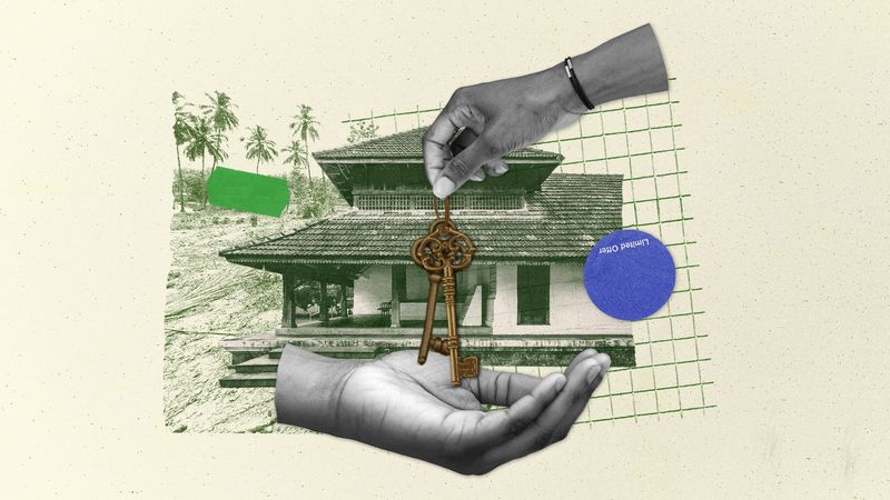 In Other Worlds, Women Have Wealth
