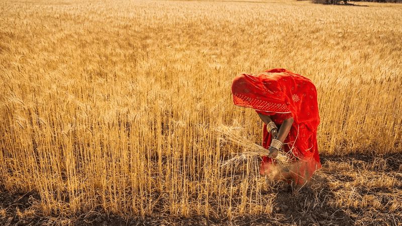 Women Have Always Farmed; What Will Maharashtra’s New Law Change For Them?