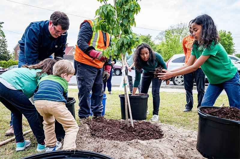 How earth-centered education helps children learn through nature, play, and relationships