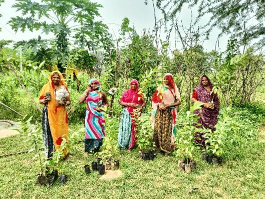 Soil, Seeds and Swaraj: The Transformative Journeys of Kamla Devi and Raju Bai