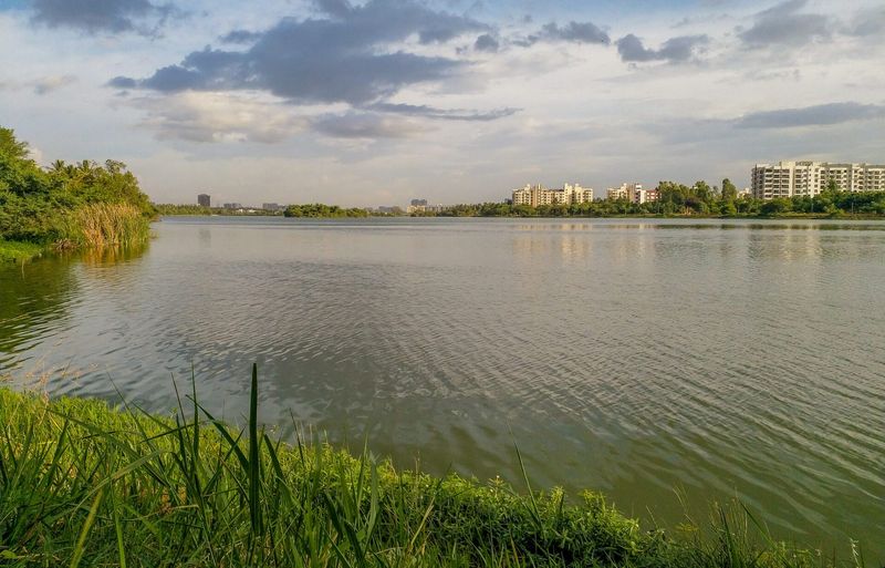 The future of Bengaluru’s lakes: How to ensure effective community-led restoration