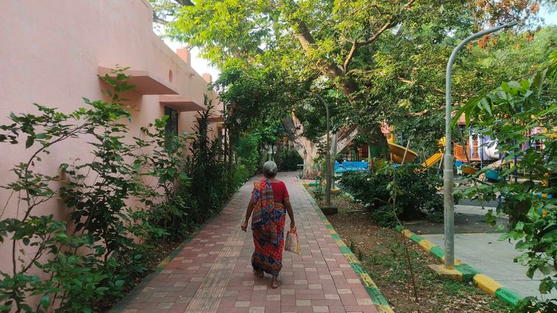 Chennai has 835 parks, but overall green spaces have shrunk